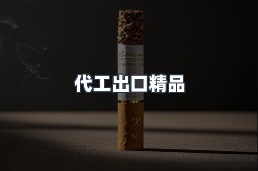 代工出口精品